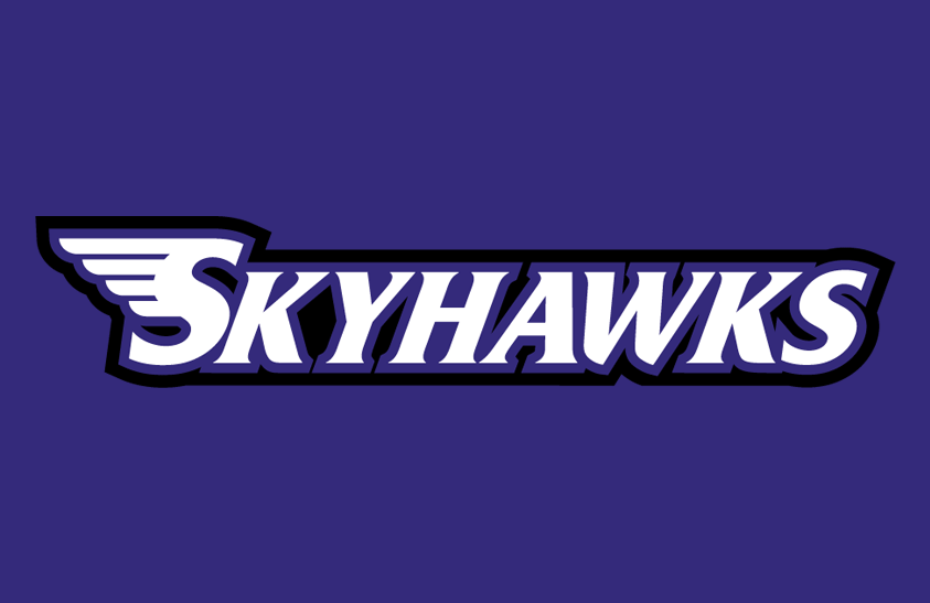 Stonehill Skyhawks 2013 Helmet Logo diy DTF decal sticker